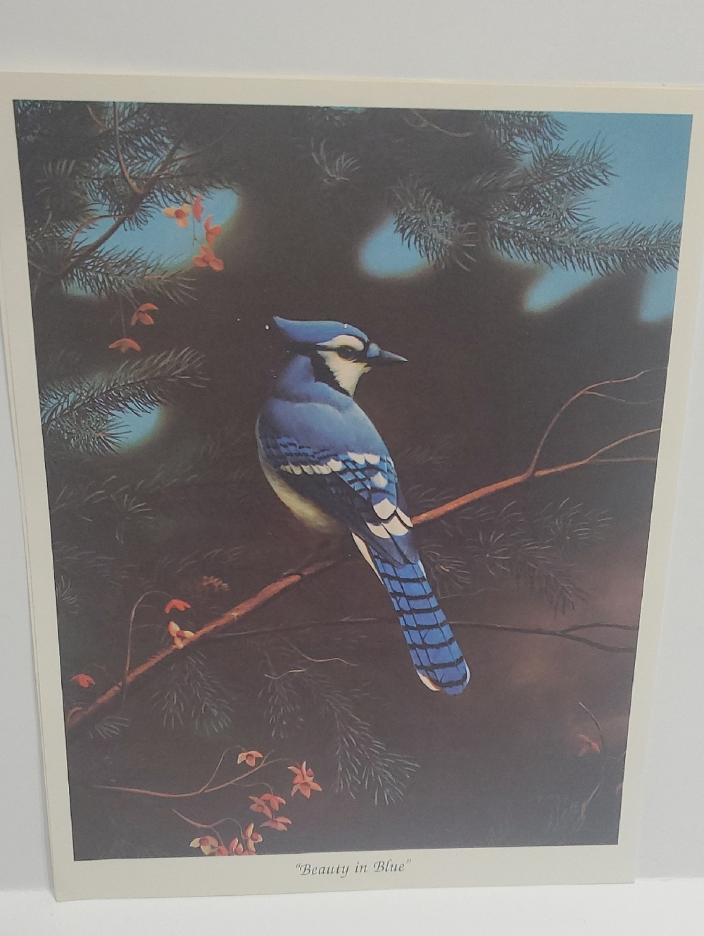 Blue Jay Bird Art Print - Beauty in Blue